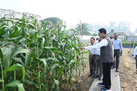 ICAR-indian agricultural research institute