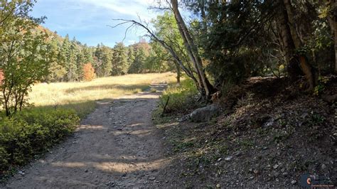 Horsetail Falls Hike from the Dry Creek Trailhead in Alpine, Utah