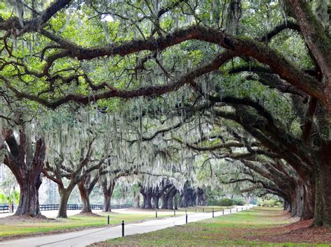 New Jersey vs South Carolina (living, cost, state, better) - City vs ...