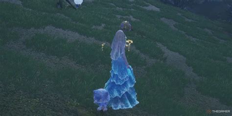 How To Install Infinity Nikki On Steam Deck