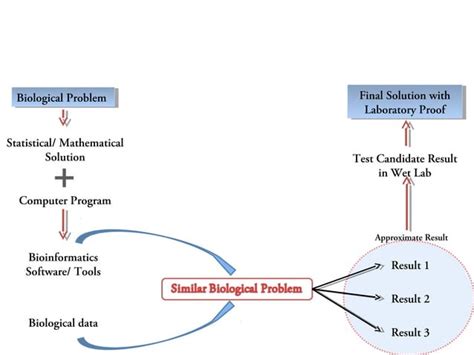 Fasta File 的图像结果