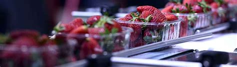 FSSC 22000 Food Safety Certification | TÜV SÜD in India