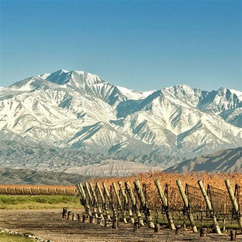 MENDOZA TURISTA - All You Need to Know BEFORE You Go 2026 (with Photos ...