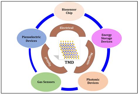 Recent Progress in Transition Metal Dichalcogenides for Electrochemical ...