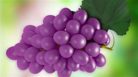 Grapes 的图像结果