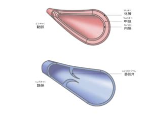 Image result for Explain Memory Chart Computer