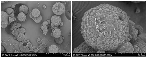 Encapsulation of Ketoprofen loaded lipid microspheres: Preparation ...