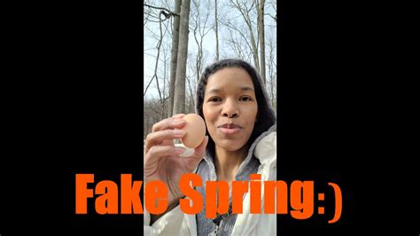 Image result for Fake Spring Seattle
