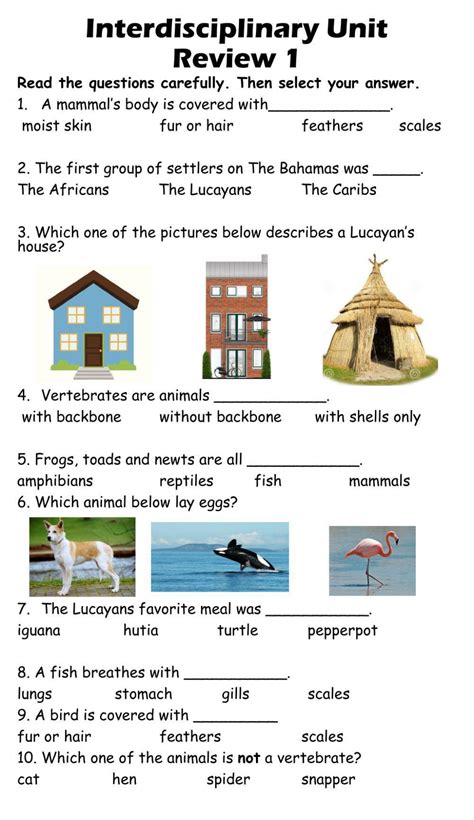 Image result for ID'd Activities Worksheet for Program