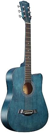 Intern INT-38C Acoustic Guitar Kit (Blue) : Amazon.in: Musical Instruments