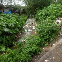 Municipal Corporation Of Thane — open drainage with high possibility of ...