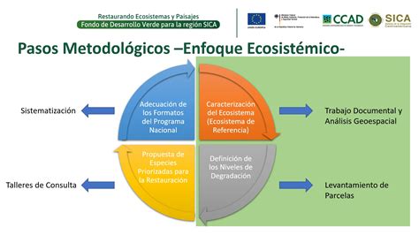 Image result for Ecosystem Approach