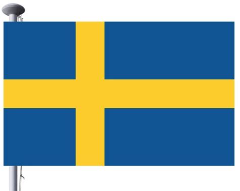 Image result for Flag Transform