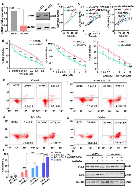 Azacitidine Is Synergistically Lethal with XPO1 Inhibitor Selinexor in ...