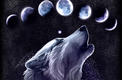 Galaxy Wolves Wallpapers - Top Free Galaxy Wolves Backgrounds ...