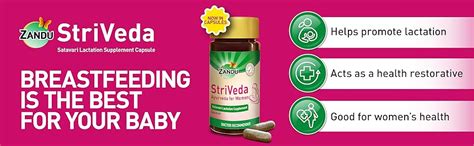 Buy Zandu Striveda Ayurveda for Women Satavari Lactation Supplement ...
