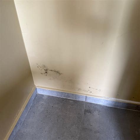 THE RIF AT MANGROVE BEACH CORENDON CURACAO ALL-INCLUSIVE, CURIO BY ...