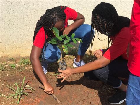 Image result for Tree-Planting Exercise