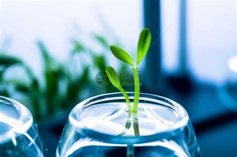 生物技术图片 的图像结果