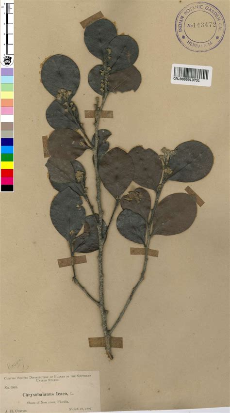 Move your mouse over image to enlarge.