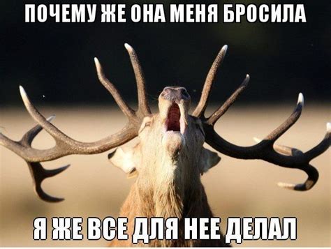 Что значит олень мужчина