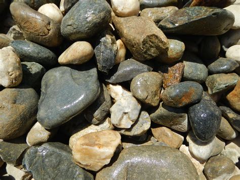 Image result for Cobble Cob