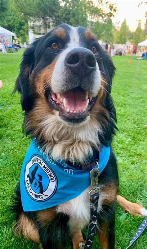 Complimentary Workshop w/ Polson Artisan Market: How to introduce your ...