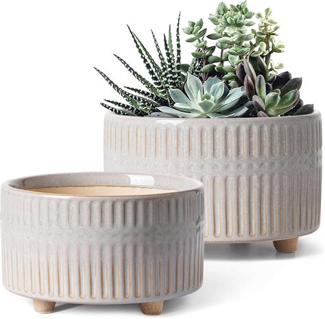 Amazon.com: LE TAUCI Succulent Pots, 6.5+8 Inch Ceramic Indoor Plant ...