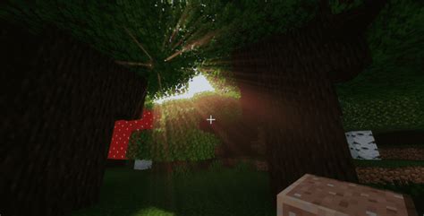 How to Download Shaders for Minecraft Java 1.16.3 的图像结果