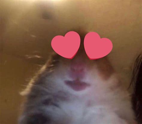 Heart Reaction Meme Twitter