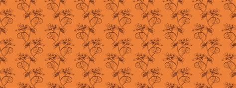 Design Drawing 的图像结果