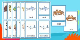 Autumn Montessori Three-Part Cards
