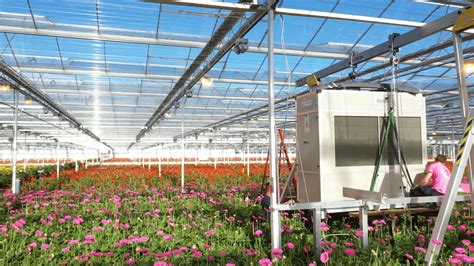 Greenhouse Humidity Control - How Plants Affect Climate - DryGair