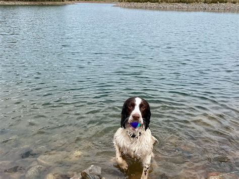 GRANITE ADVENTURES (2025) All You Need to Know BEFORE You Go (with ...