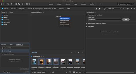 Image result for Tutorial for Adobe Bridge