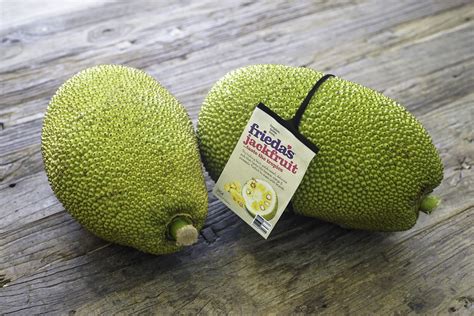 Ginormous Jackfruit, Everything You Need to Know | thefitfork.com