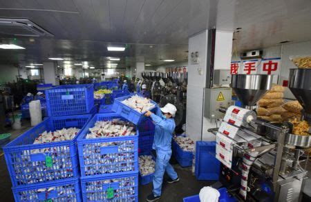 Photos Chine : forte hausse des exportations de nouilles de riz aux ...