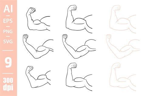 Arm Muscles Drawing