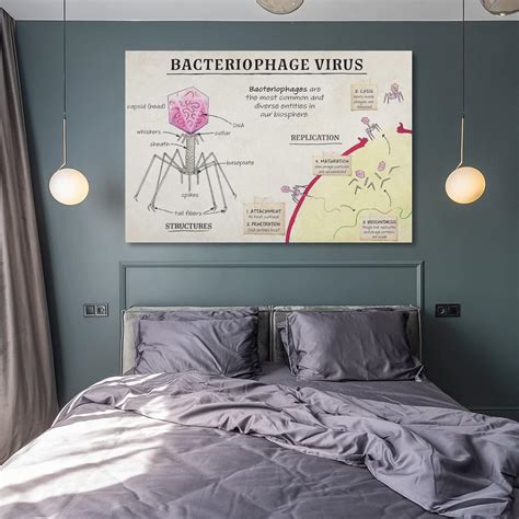 Biological Bacteriology Poster Phage Virus Cell India | Ubuy