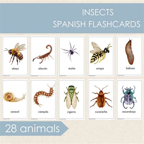 Spanish Insects Flash Cards, Spanish Animals Printable Cards ...