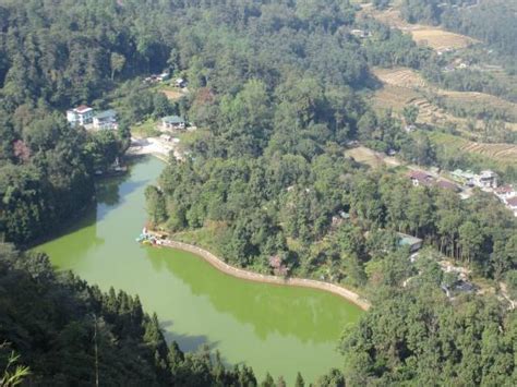 Flowers - Picture of Mankhim Hilltop, Aritar - Tripadvisor