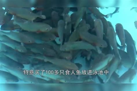 广东珠海海边现大量死鱼群 绵延两公里海滩(图)|珠海死鱼群|天气变化导致鱼群缺氧_新浪新闻