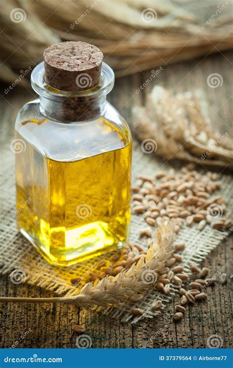 Wheat germ oil stock photo. Image of cold, omega, care - 37379564