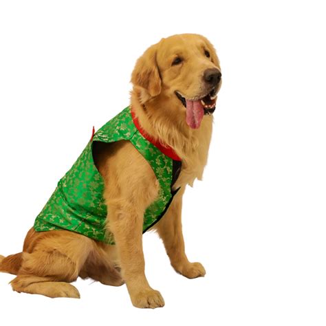 Dog Sherwani Online | Buy Sherwani for Dogs & Puppies – Floof and Co