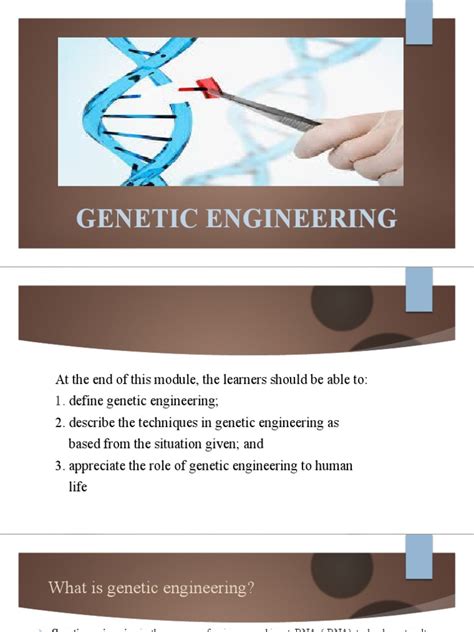 Image result for Genetic Engineering Lecture