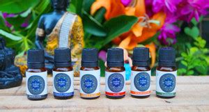 CEC Aroma Diffuser fragnance Oil Whiteoud, Jannatul Firdaus, Amber ...