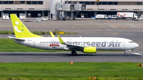 Boeing 737-800 - Star Alliance Virtual