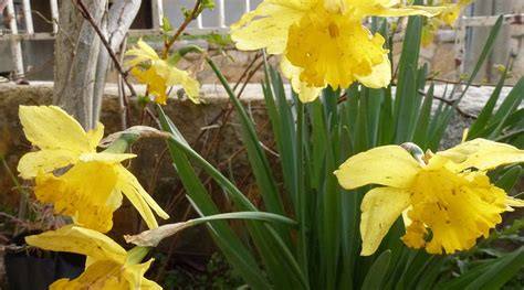 DIWAN AL BAIK (Douma) - Guesthouse Reviews & Photos - Tripadvisor