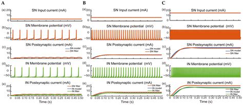 Biomimetic Strategies of Slip Sensing, Perception, and Protection in ...