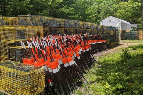 These Little-known Islands in Maine Offer a Charming Getaway — With ...